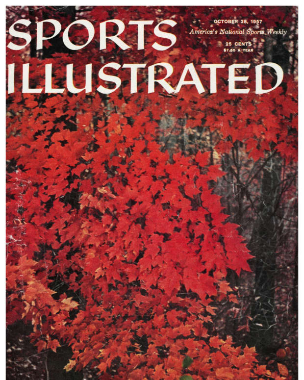 42777 - Cover Image